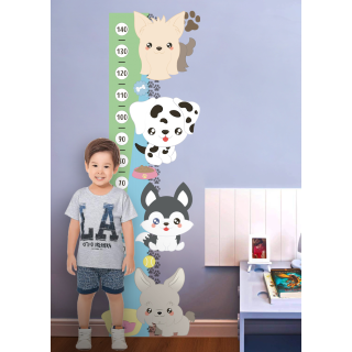 Régua de Crescimento - Canhorrinho 01