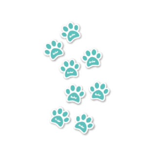 Etiquetas de Pegadas de Coelhinho